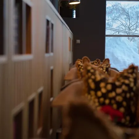 Skarsnuten Mountain & فندق