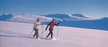 Skarsnuten Mountain & 4* Хемседал