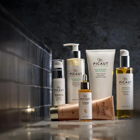 Hotel Skarsnuten Mountain & 4*